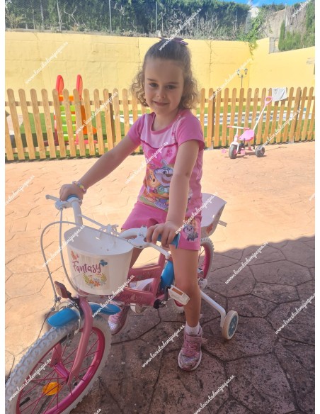 Conjunto Short Patrulla Canina Rosa