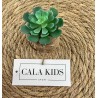 Cala Kids